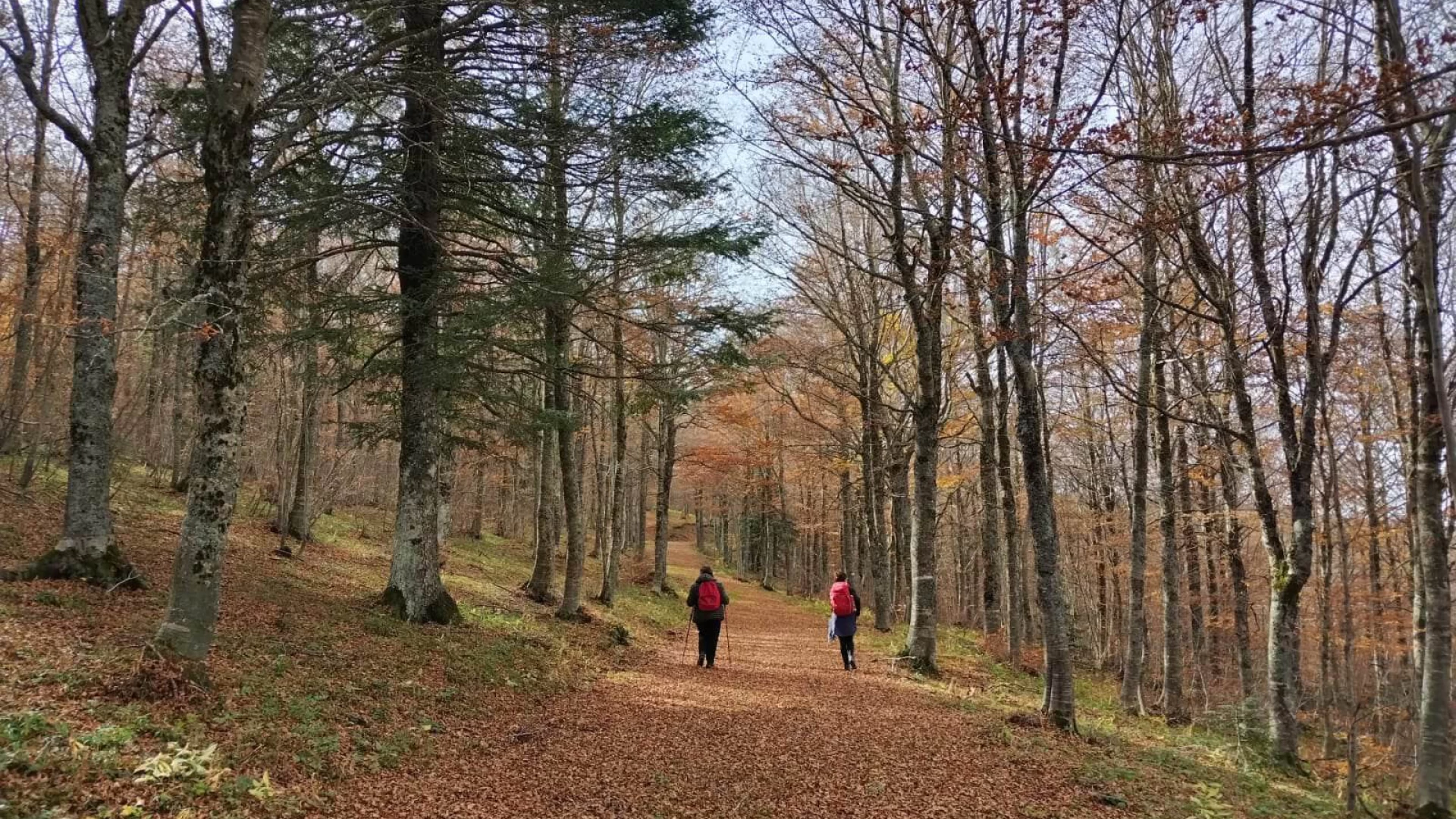 Isernia: l’associazione Assembramenti Culturali propone passeggiate escursionistiche per persone con malattia di Alzheimer.